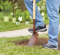 Coole Gartengestaltung – Bepflanzen Sie den Rasenstreifen vor Ihrem Haus