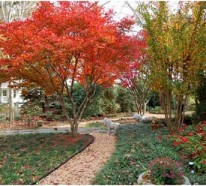 Coole Gartengestaltung Tipps – Pflege für den Landschaftsbau vor dem Winter