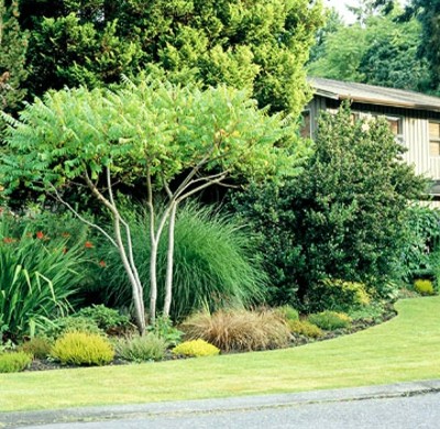 Kluge Ideen, wie man den engen Raum im Garten gestalten kann