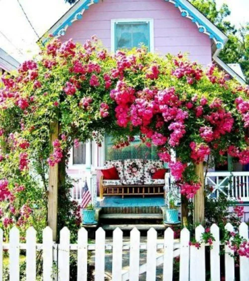 farbenfrohe veranda ideen design rosen
