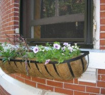 Blumenkästen auf der Fensterbank draußen – sichere und schöne Blumendeko