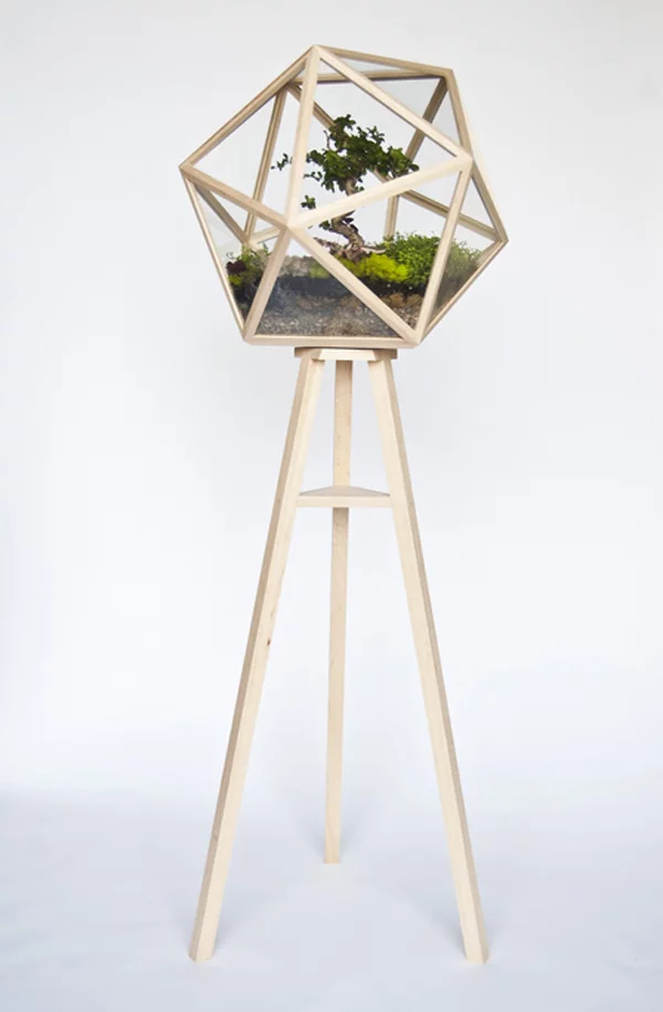 designer idee gartengestaltung terrarium bonsai baum originell alt