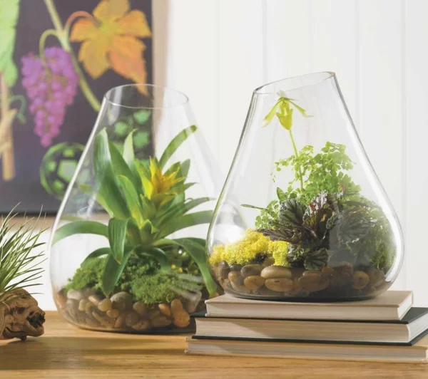 designer idee gartengestaltung terrarium bonsai baum originell steine pflanze