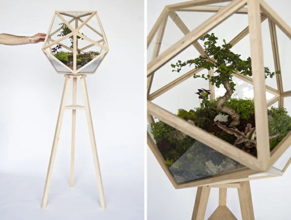 designer idee gartengestaltung terrarium bonsai baum
