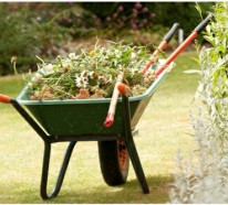 Gartengestaltung Tricks und Tipps für einen attraktiven und gesunden Garten