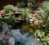 Schönen Gartenteich anlegen – Gestalten Sie einen Wassergarten