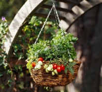 Gemüse Anbau in Containern - 20 interessante, frische Ideen
