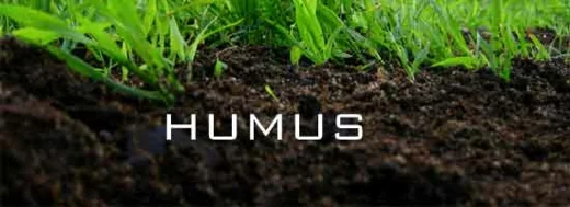 perfekter erdboden humus gras fruchtbar