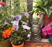 Blumen und Pflanzen für den Balkon – herrliche, frische Atmosphäre schaffen