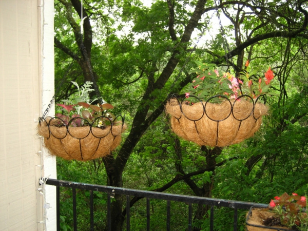 Pflanzen für den Balkon hängen rosa eingetopft interessant