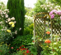 Gartengestaltung – wie kann man den Rosengarten richtig pflegen