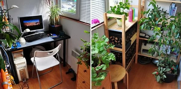 perfekte Idee für Arbeitsplatz auf dem kleinen Balkon Schreibtisch PC Stuhl viele grüne Topfpflanzen