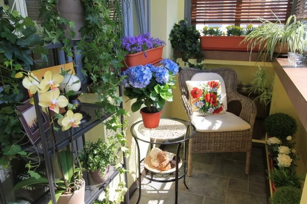 gemütliche Sitzecke auf dem kleinen Balkon viele Topfpflanzen wie im Garten Korbsessel kleiner runder Tisch 