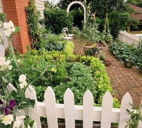 Antworten auf Ihre Top Garten Fragen – nützliche Information für Gärtner