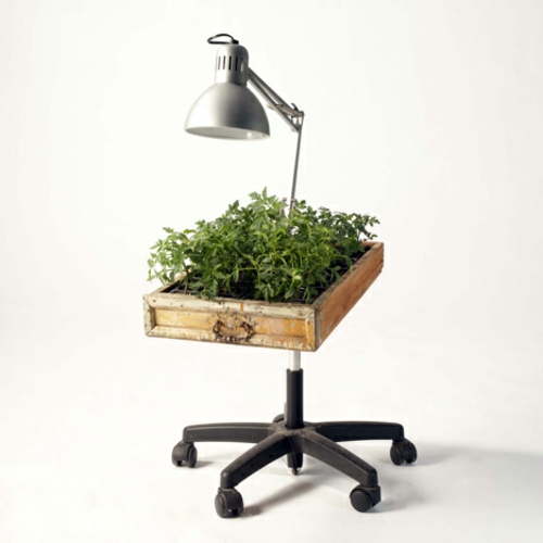 Recycelte Möbel alsPflanzen Behälter verwendet holz rollen lampe