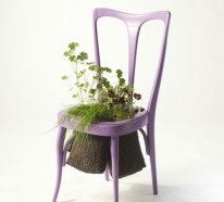 Recycelte Möbel als Pflanzen Behälter verwendet von Peter Bottazzi und Denise Bonapace