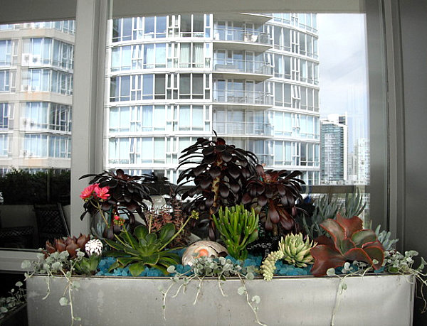 coole balkon deko ideen blumen pflanzen behälter