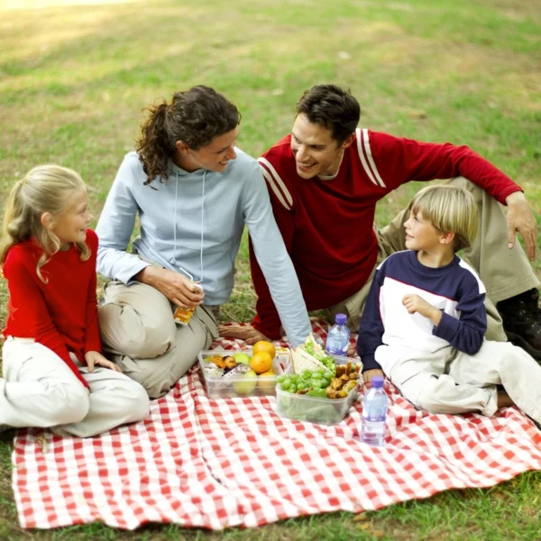 picknick draußen freien machen familie mama sohn tochter vater