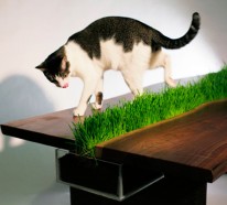 Cooler Pflanzen Behälter Tisch von Emily Wettstein – katzenfreundliches Design