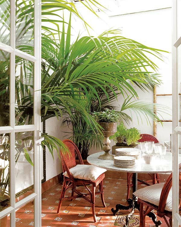 den balkon einrichten tisch geschirr stühle geflochten tropenpflanzen