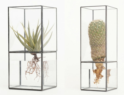 designer möbel idee 1012 terra wand sukkulente vasen geometrische form