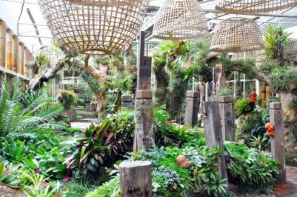 Indoor Garten gestalten - wichtige und nützliche Tipps