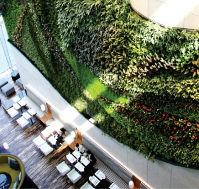 Indoor Garten gestalten - wichtige und nützliche Tipps