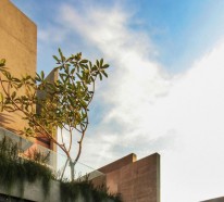 Kasten-förmiges Haus Design Lumber von Atelier Riri – moderne Architektur