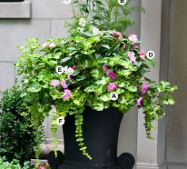 Perfekte Blumen Behälter für Ihre Geranien – Gartengestaltung
