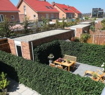 Sichtschutz für Terrasse – lebendige grüne Wand schützt Ihre Privatsphäre