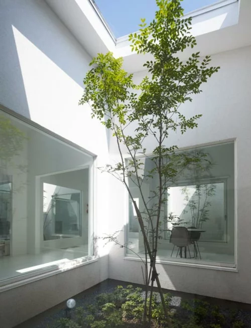 japanisches zahnklinik design interior minimalistisch baum anbauen