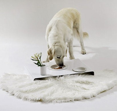 Designer Möbel und Accessoires für Haustiere angebracht