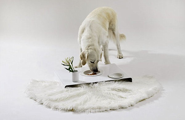 Haustiere - Freshideen 8