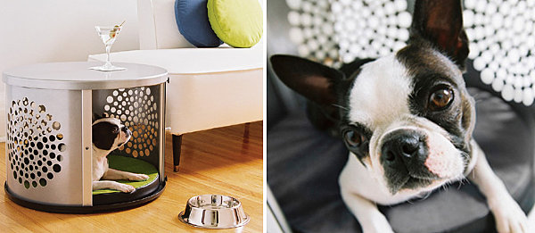 Designer Möbel und Accessoires für Haustiere hund metall