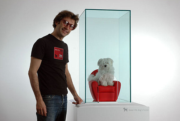 Designer Möbel und Accessoires für Haustiere hund sessel glas