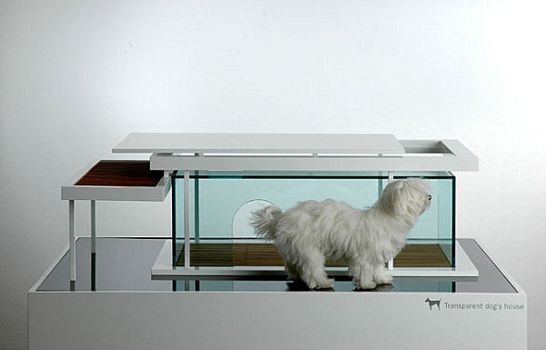 Designer Möbel und Accessoires für Haustiere regale hund