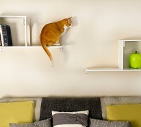 Designer Möbel und Accessoires für Haustiere angebracht