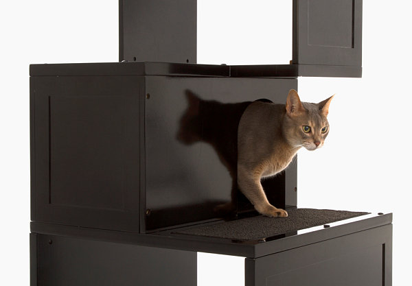 Designer Möbel und Accessoires für Haustiere regale schwarz