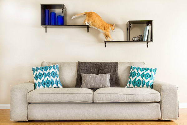 Designer Möbel und Accessoires für Haustiere regale sofa