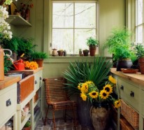 Inspirierende Ideen für Gartenhaus im Hinterhof