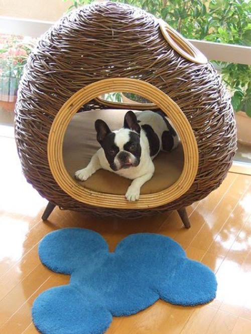attraktive möbel für haustiere villa juicy dog couture