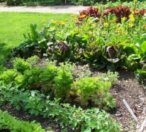 Der Slow Gardening Trend – viele unerwartete Vorteile für Umwelt und Gesundheit