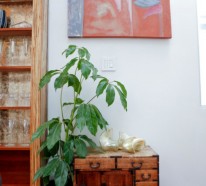 Eine robuste Zimmerpflanze für Ihre Wohnungsdekoration