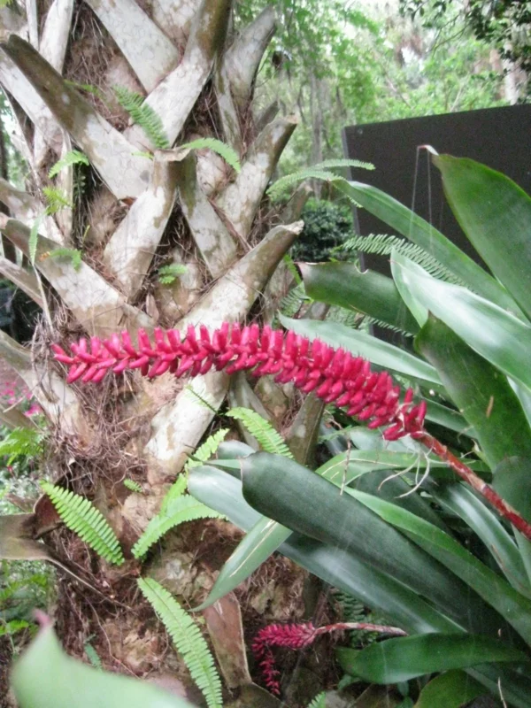 exotische dekoration mit tropischen pflanzen neben palme