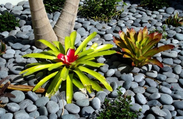 1000 Ideen für Dekoration - coole Dekoartikel und Designs zum