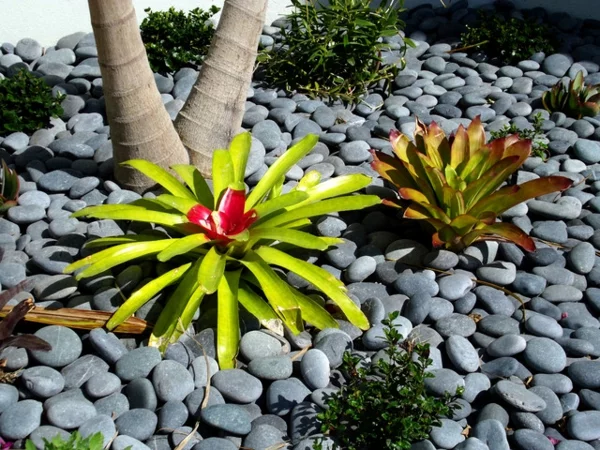 exotische dekoration mit tropischen pflanzen graue kieselsteine