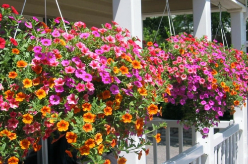 hängende Blumentöpfe auf der Veranda design orange rot lila