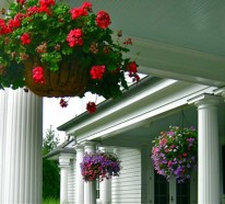Sie haben einen Hang zu Hängepflanzen? – hängende Blumentöpfe auf der Veranda