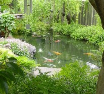 Koi Teich im Garten anlegen – typisches Extra für das asiatisch und tropisch inspirierte AmbienteGarten & Pflanzen