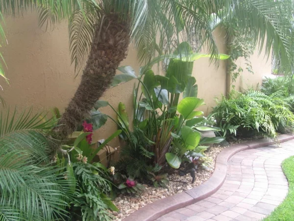 palme im garten im innenhof vilefalt an tropischen pflanzen